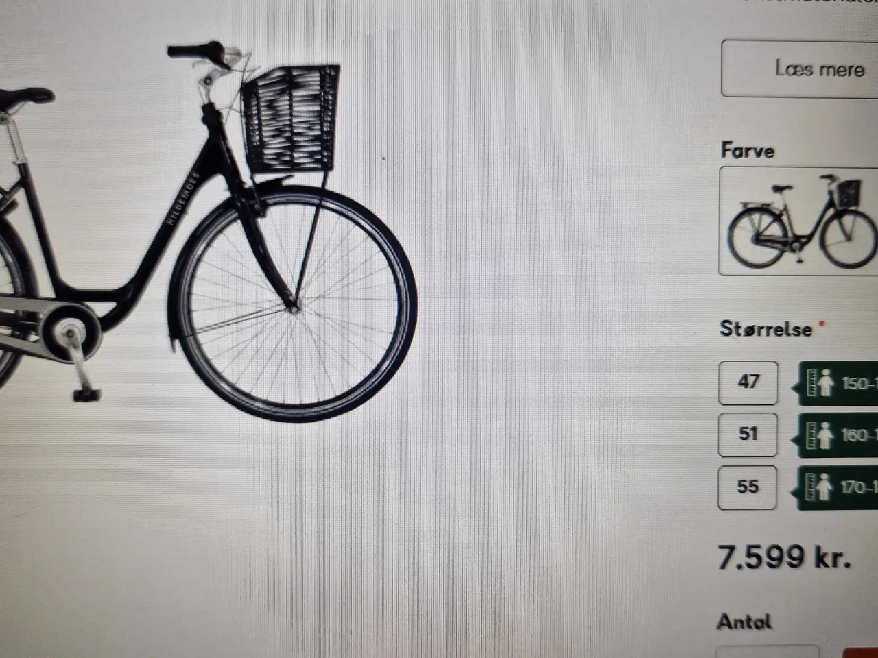 Billede 10 - Kildemoes Hornbæk 