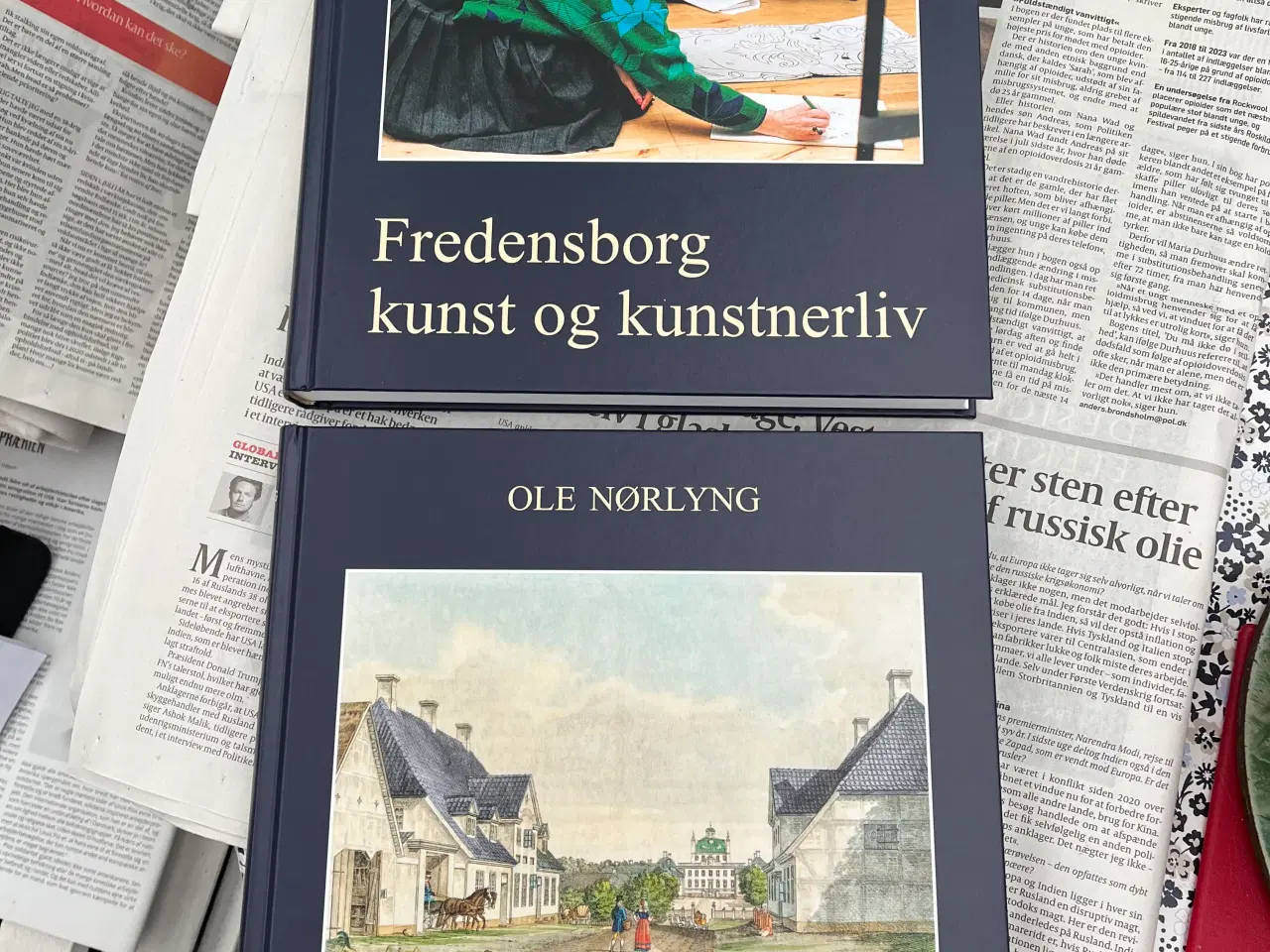 Billede 1 - Ole Nørlyng: Fredensborg kunst og kunstnerliv 1-2