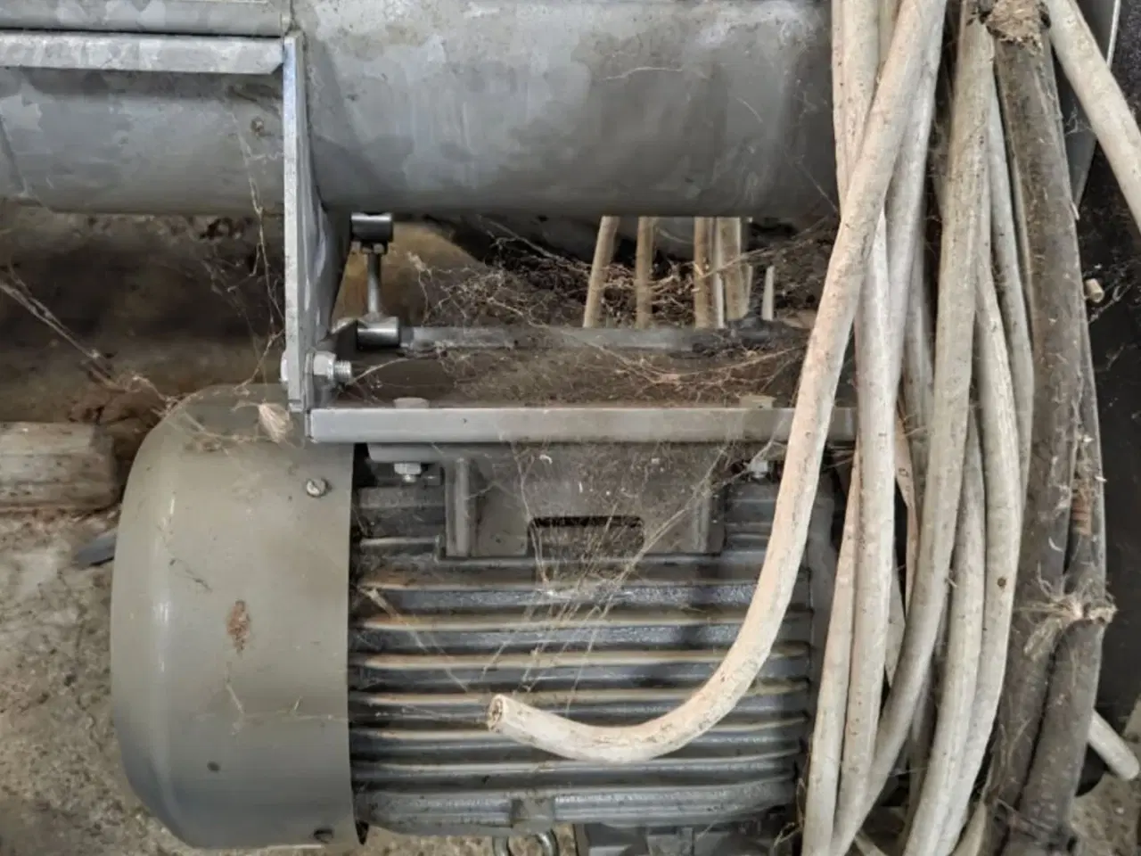 Billede 5 - Søby rørsnegl med 1 indløb og 4 udløb