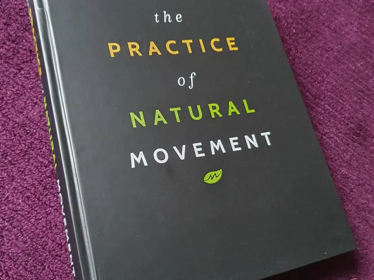 Billede 1 - The Practice of Natural Movement af Erwan Le Corre