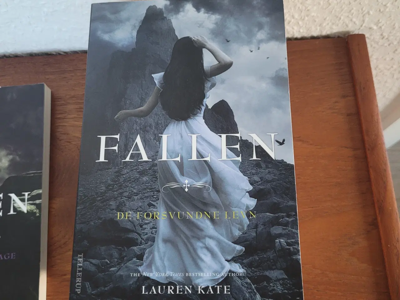Billede 3 - Bogserie - Fallen 