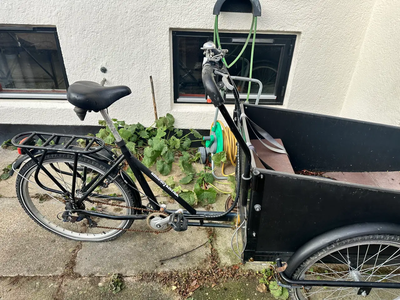 Billede 3 - Gratis Ladcykel som kræver er kærlig hånd