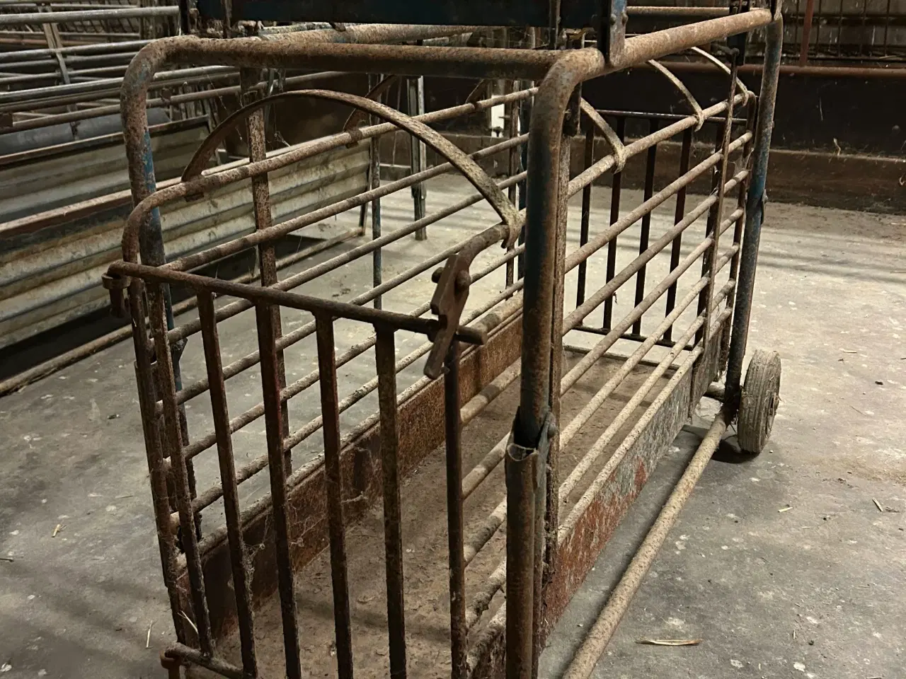 Billede 1 - Grise vægt