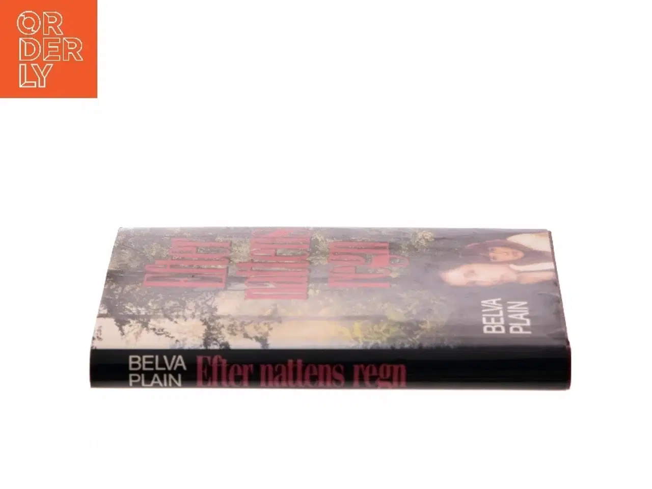 Billede 2 - Efter nattens regn af Belva Plain