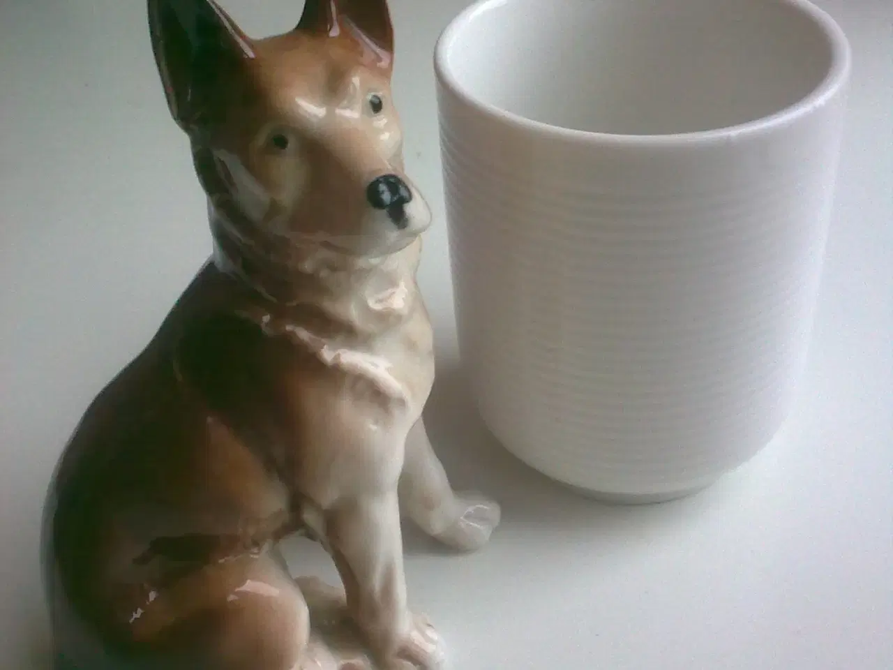 Billede 15 - Hundeskål i eller vagthund ved siden & hund TEMA