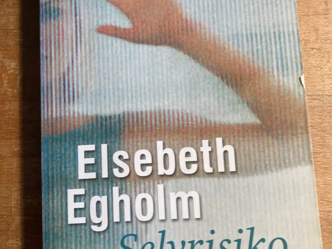 Billede 4 - Bøger af Elsebeth Egholm - 5 stk