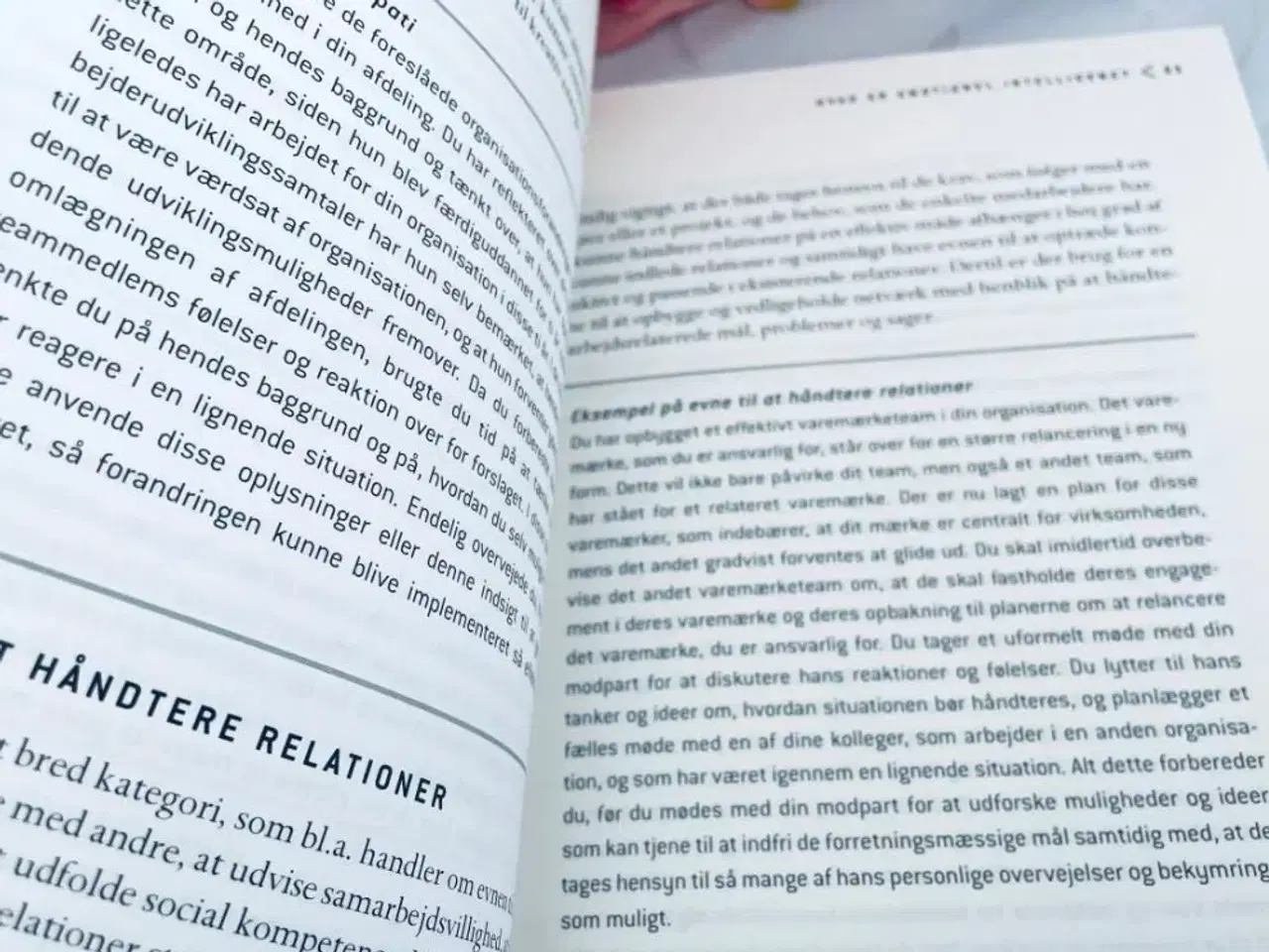 Billede 3 - Emotionel intelligens i organisationer