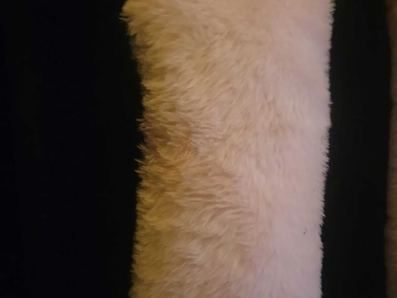 Billede 7 - Lyserød Kæledyrssofa/seng