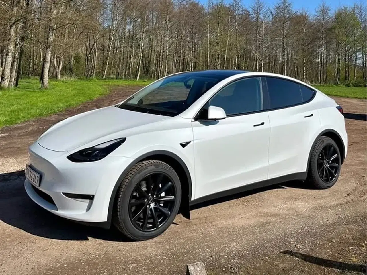 Billede 1 - Tesla Model Y longe range AWD