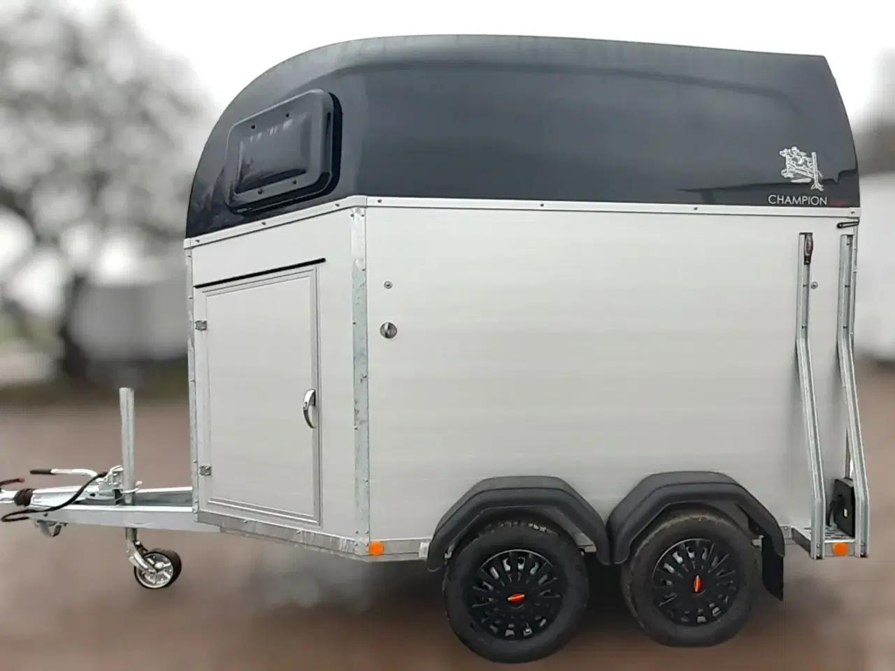 Billede 1 - Böckmann Champion Esprit (Udstilling)