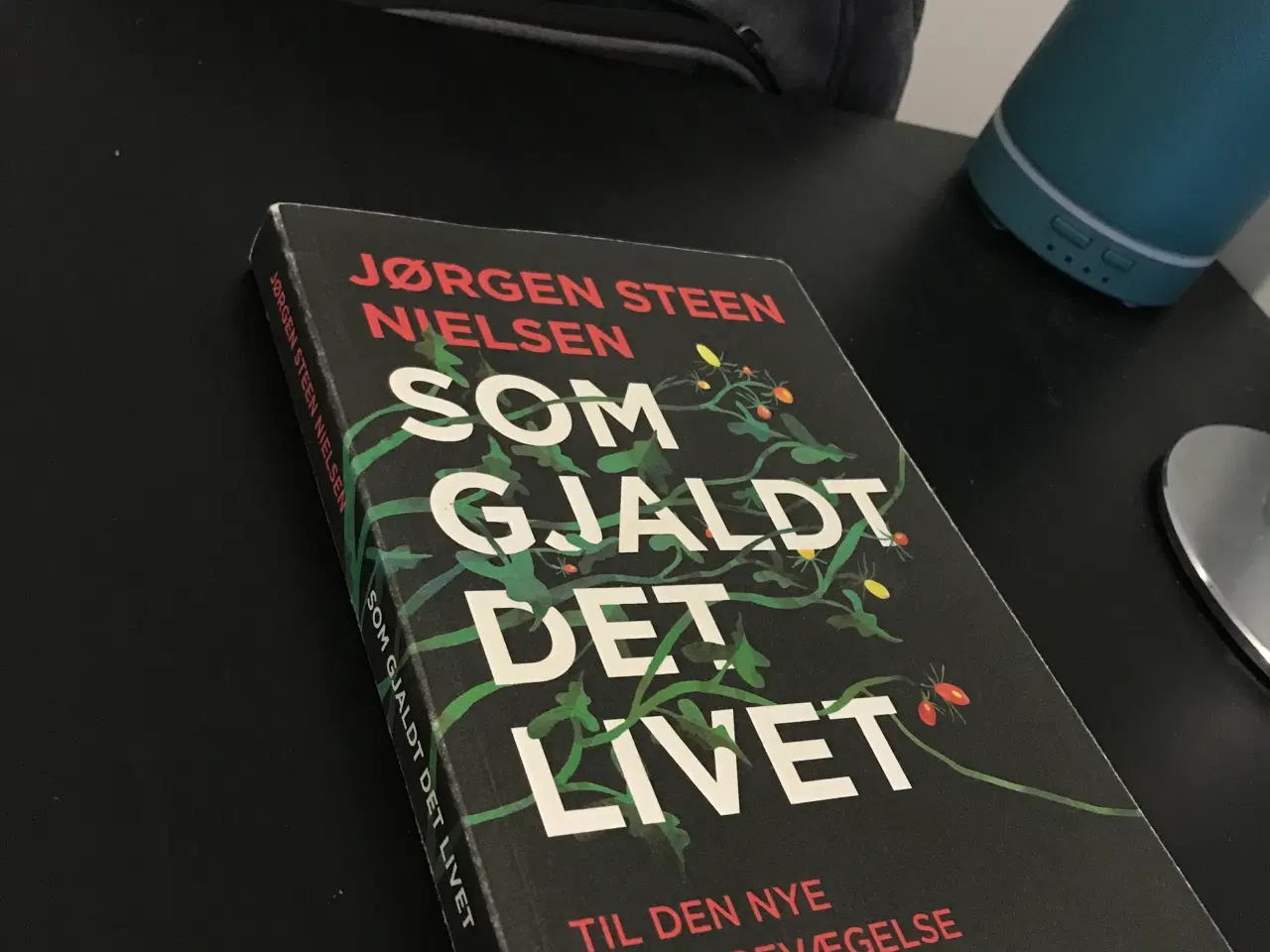 Billede 3 - Som Gjaldt Det Livet - Til Den Nye Klimabevægelse