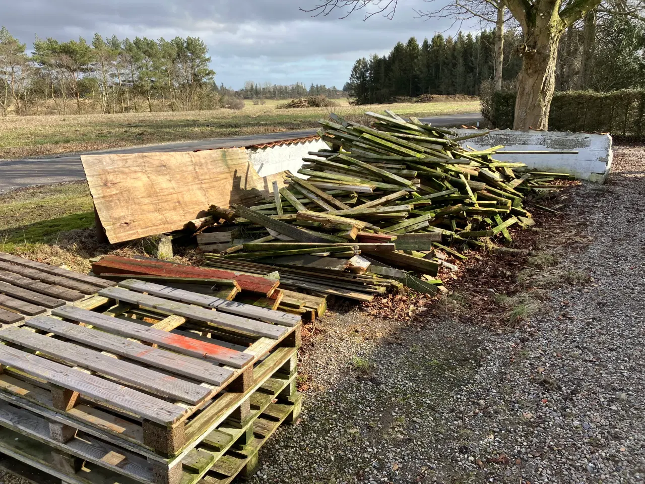 Billede 1 - Affaldstræ - gives væk