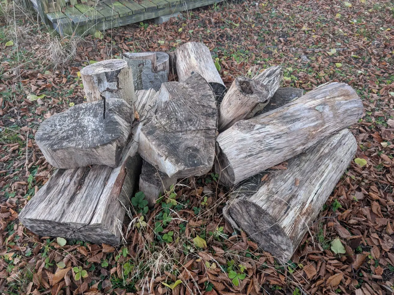 Billede 5 - Savet træ til brænde