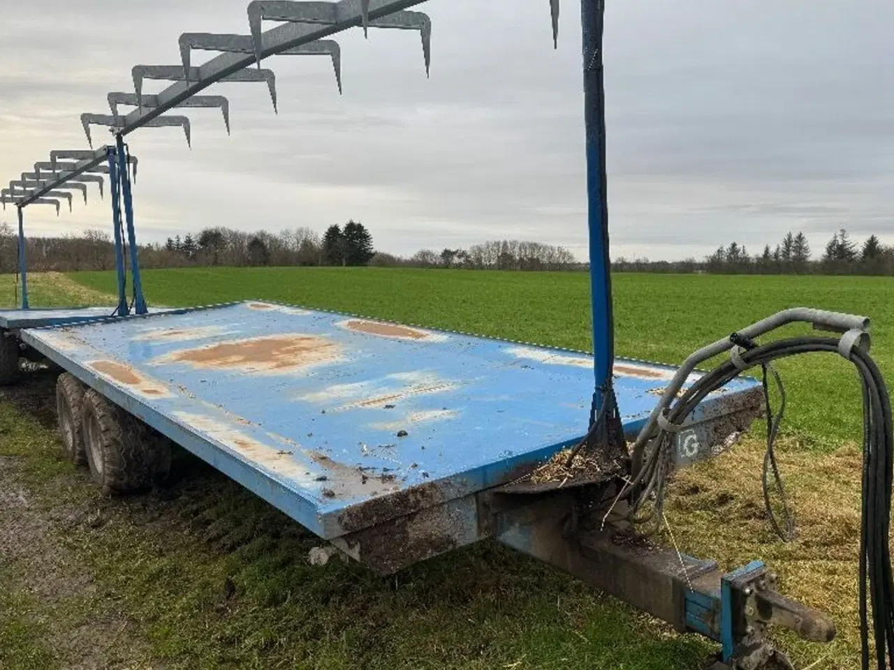 Billede 2 - Guldhammer Halmtræk