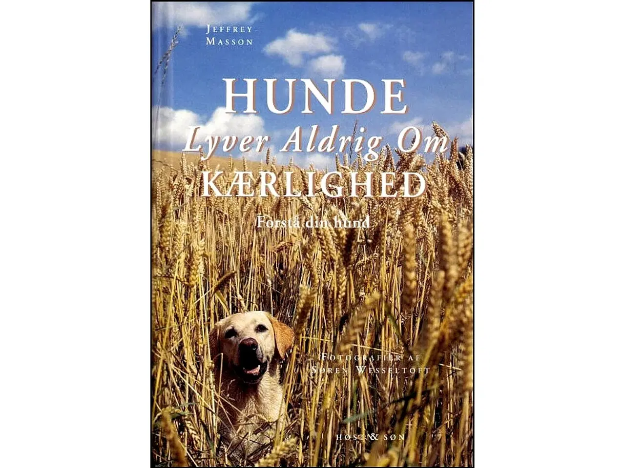 Billede 1 - Hunde lyver aldrig om kærlighed