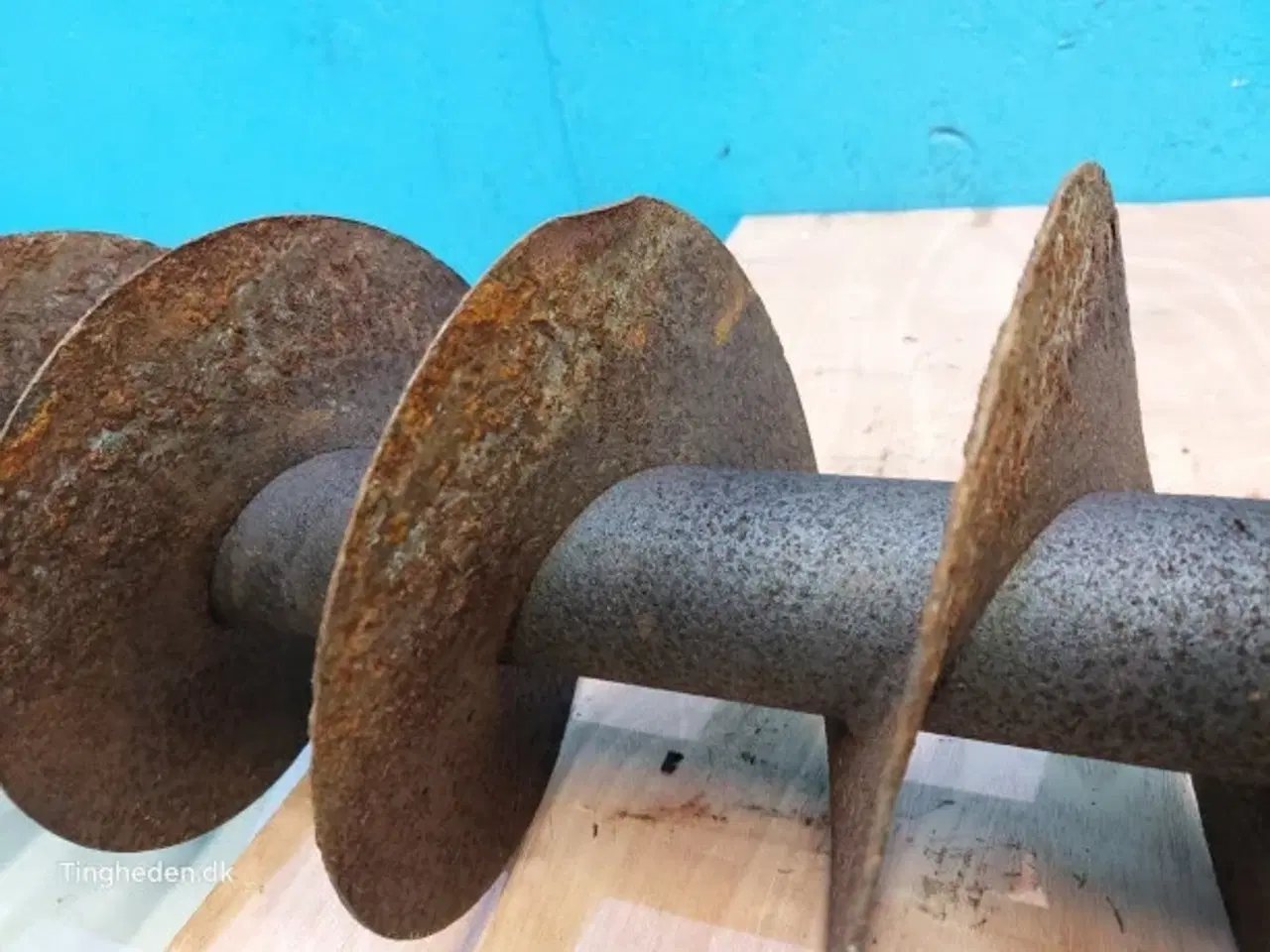 Billede 12 - Massey Ferguson 7278 Frøsnegl 28885556