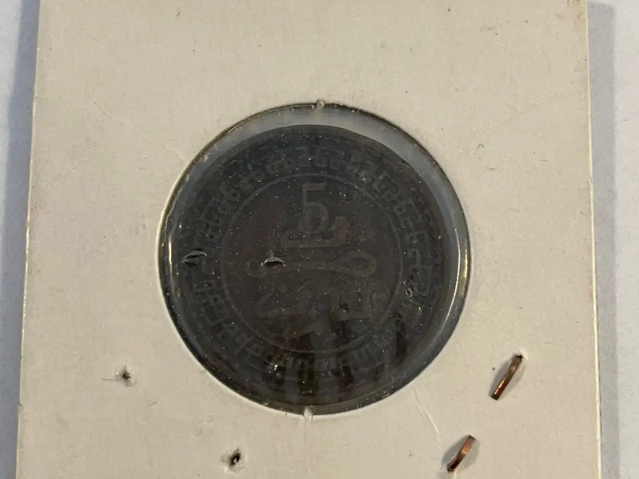 Billede 2 - 5 Mazunas Morocco