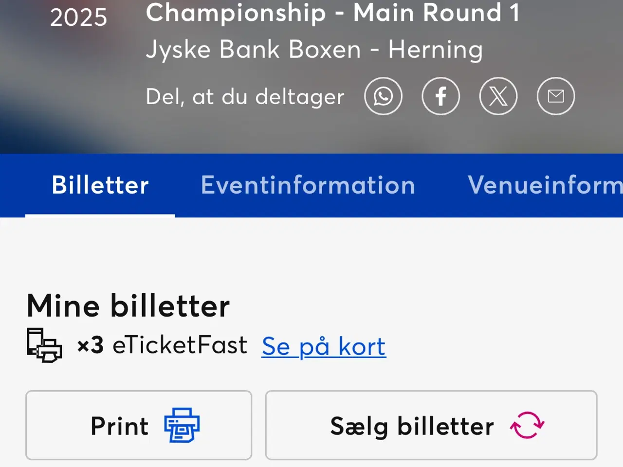 Billede 1 - VM herrehåndbold