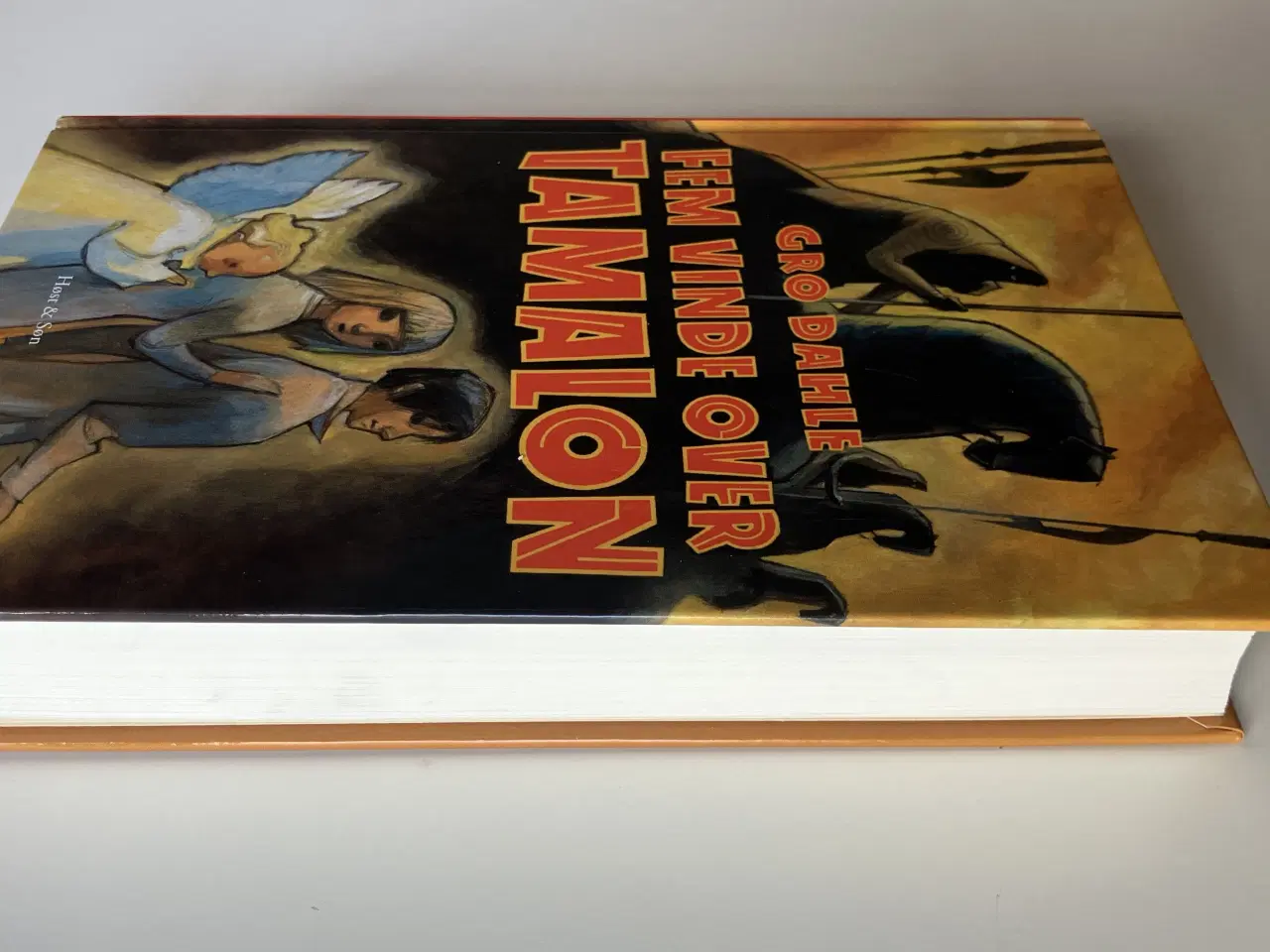 Billede 5 - Fem vinde over Tamalon. Af Gro Dahle