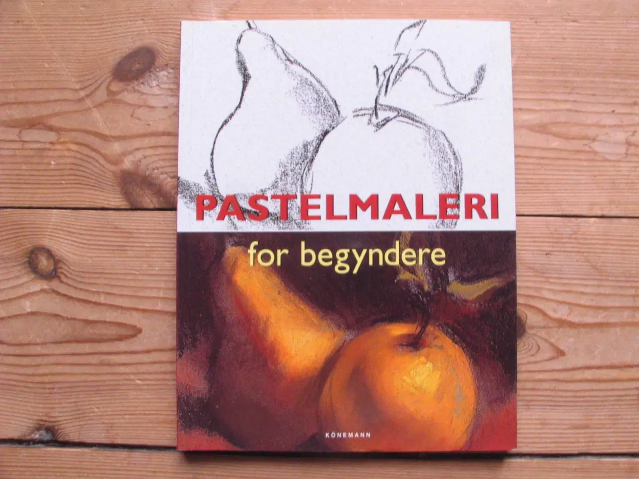 Billede 1 - Pastelmaleri for begyndere