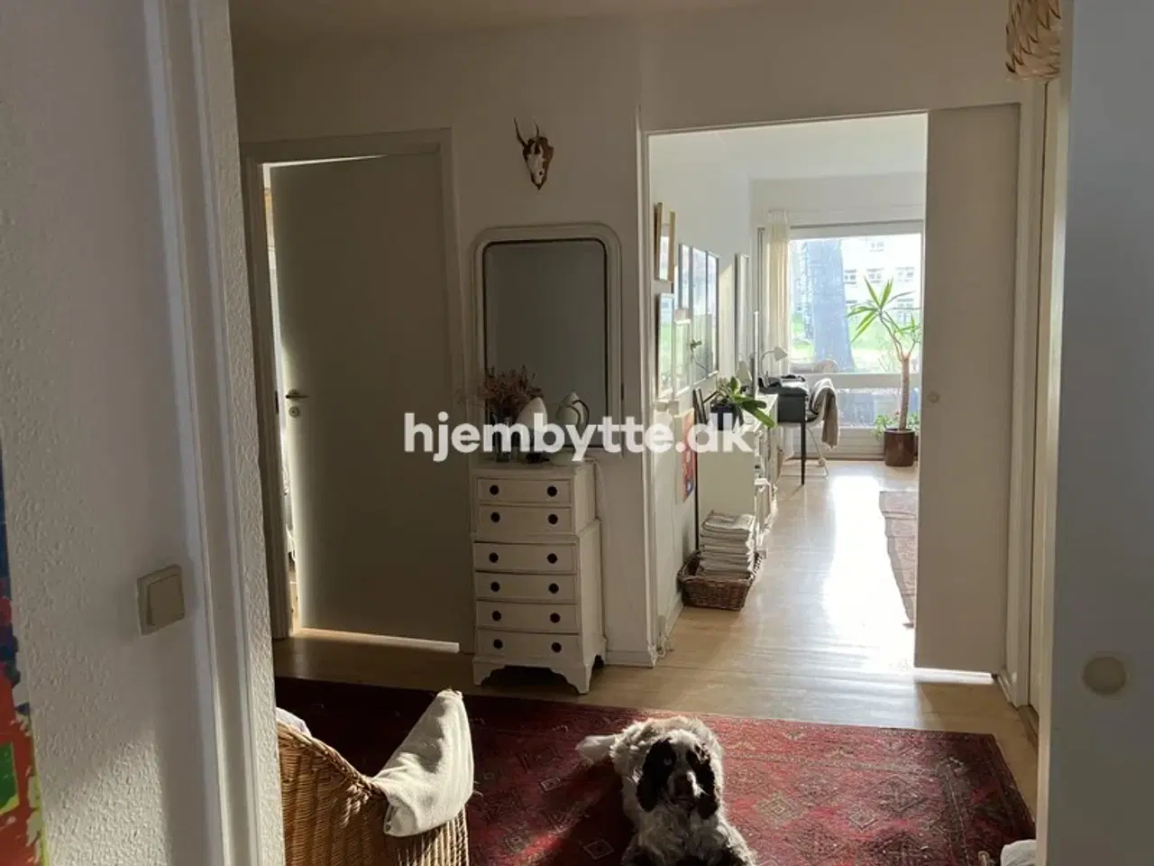 Billede 3 - Hjembytte - MikkelborgPark