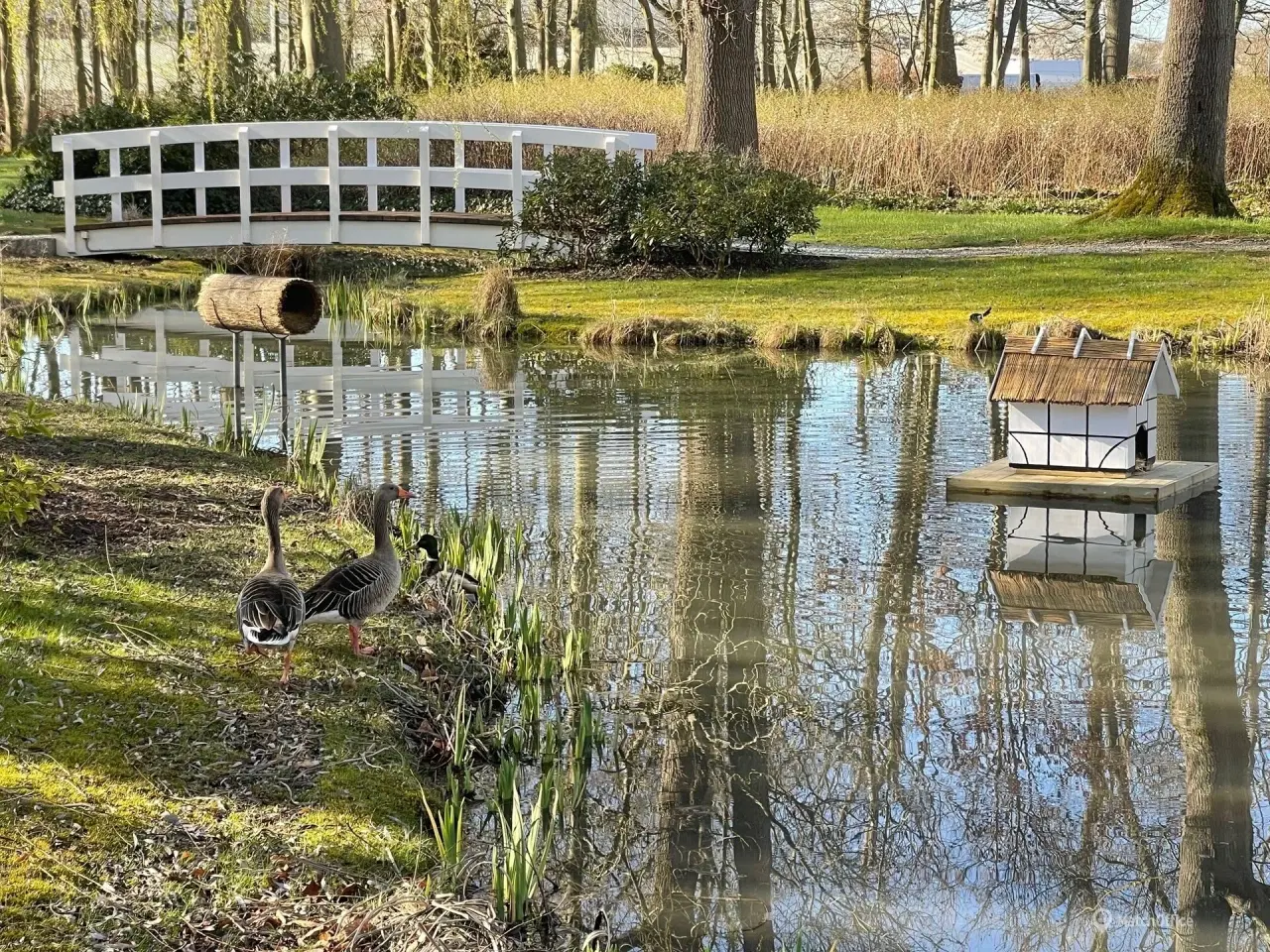 Billede 9 - Albertslunds flotteste kontor midt i en oase