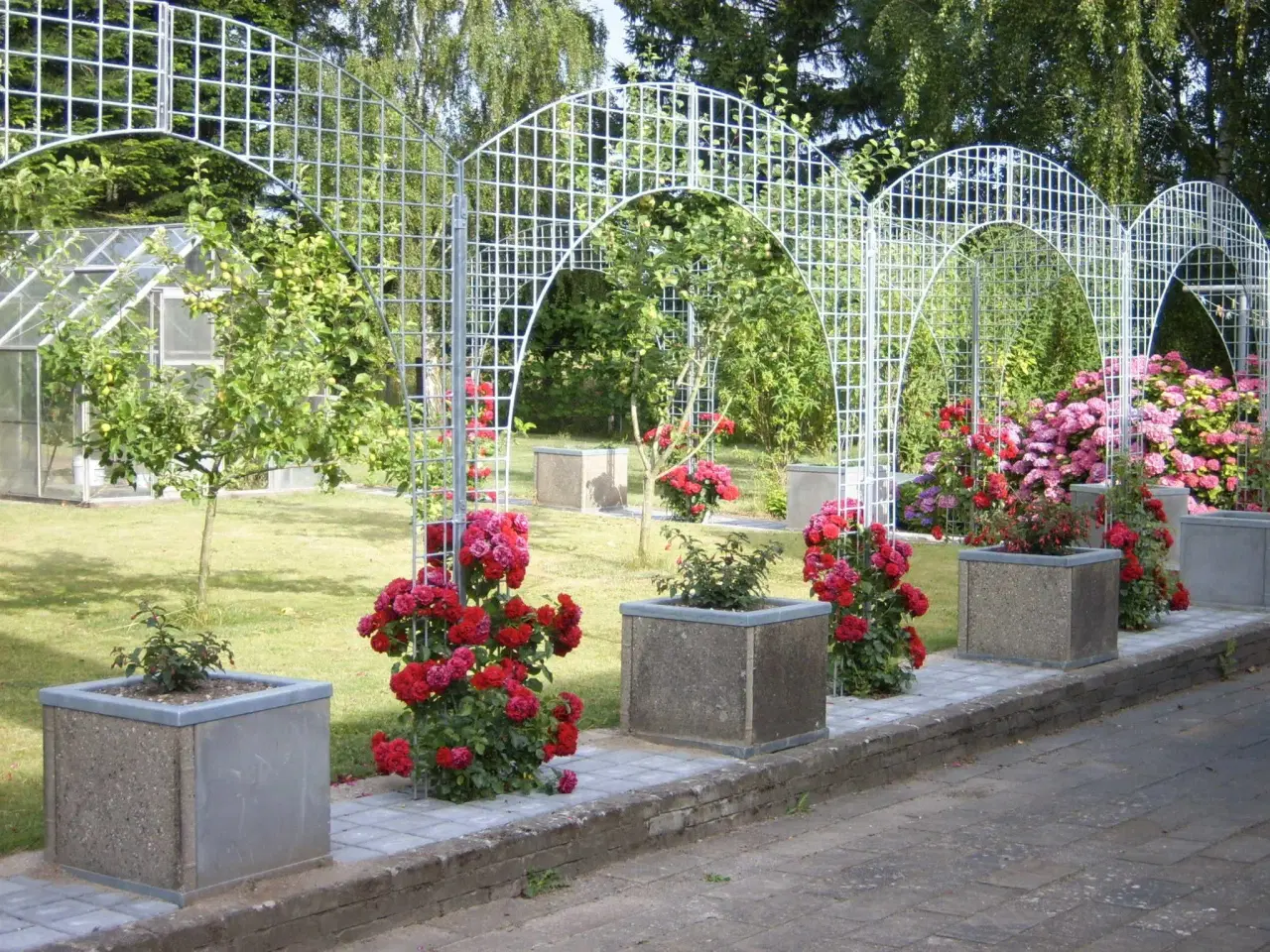 Billede 6 - Espalier. Blomsterkasse.