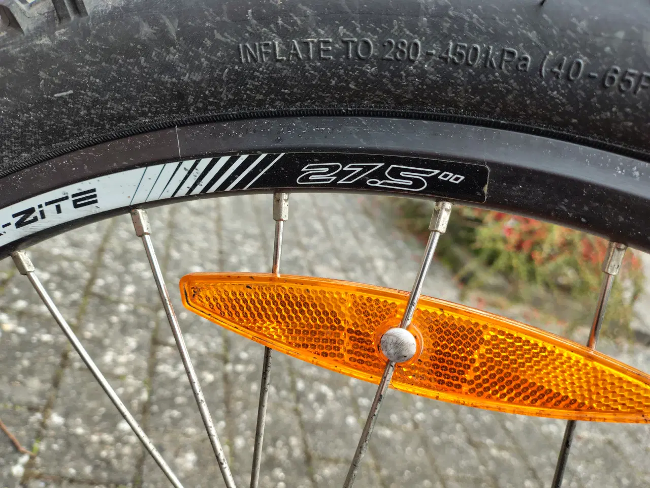 Billede 5 - El Mountainbike 