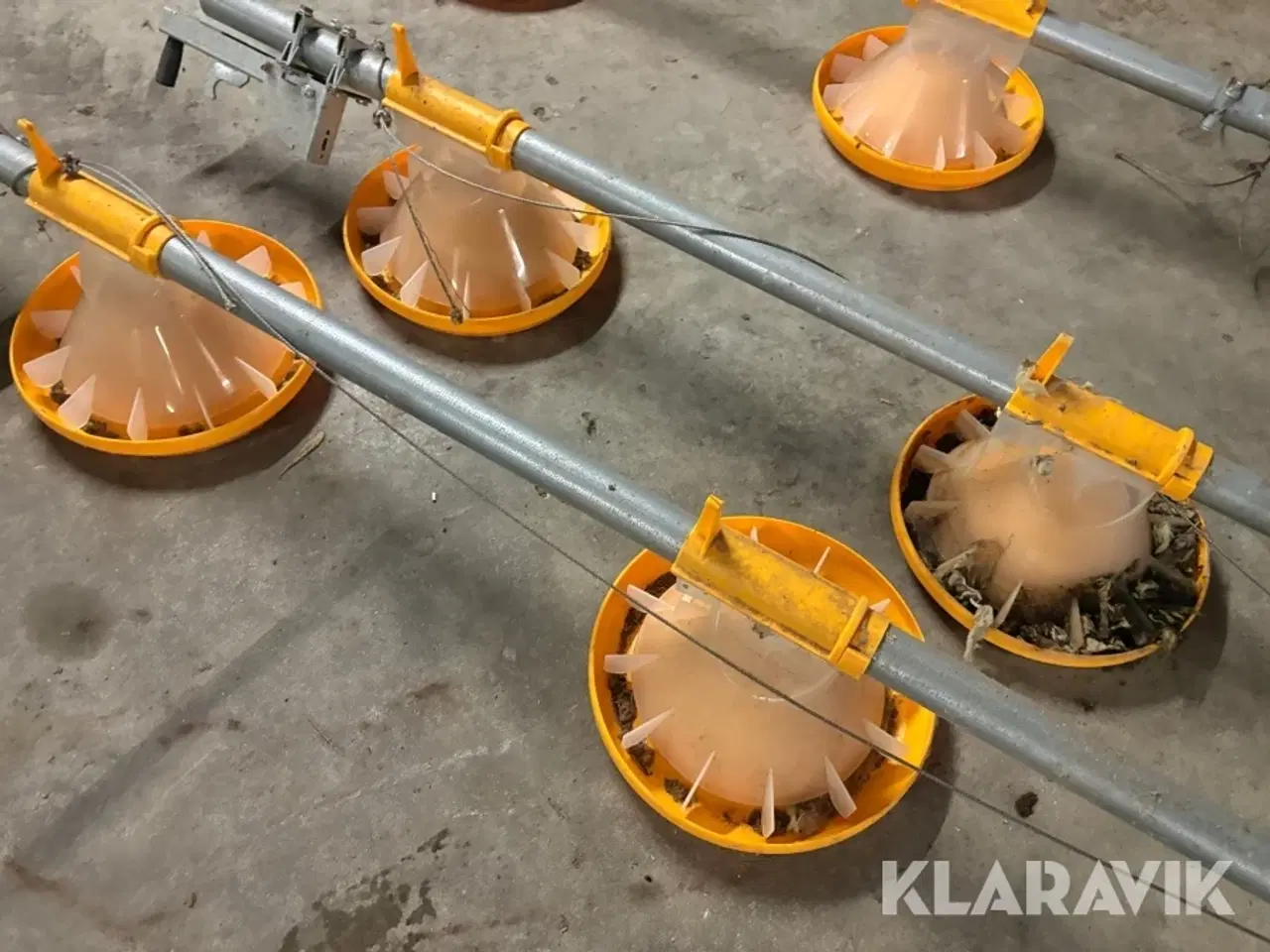 Billede 10 - Hønse - 46 foderenheder