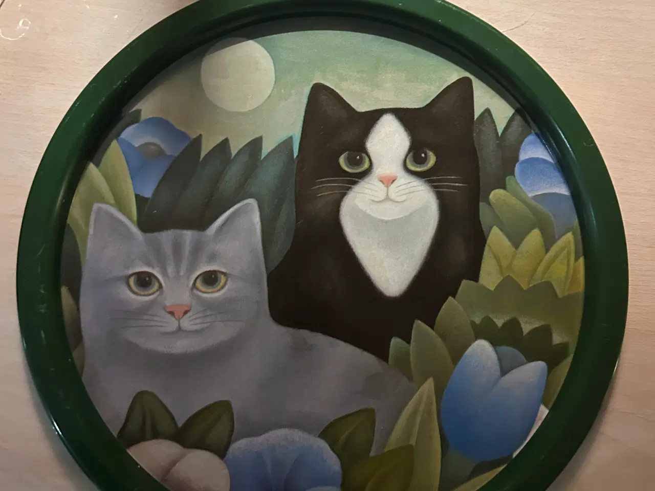 Billede 1 - Bakke af katte