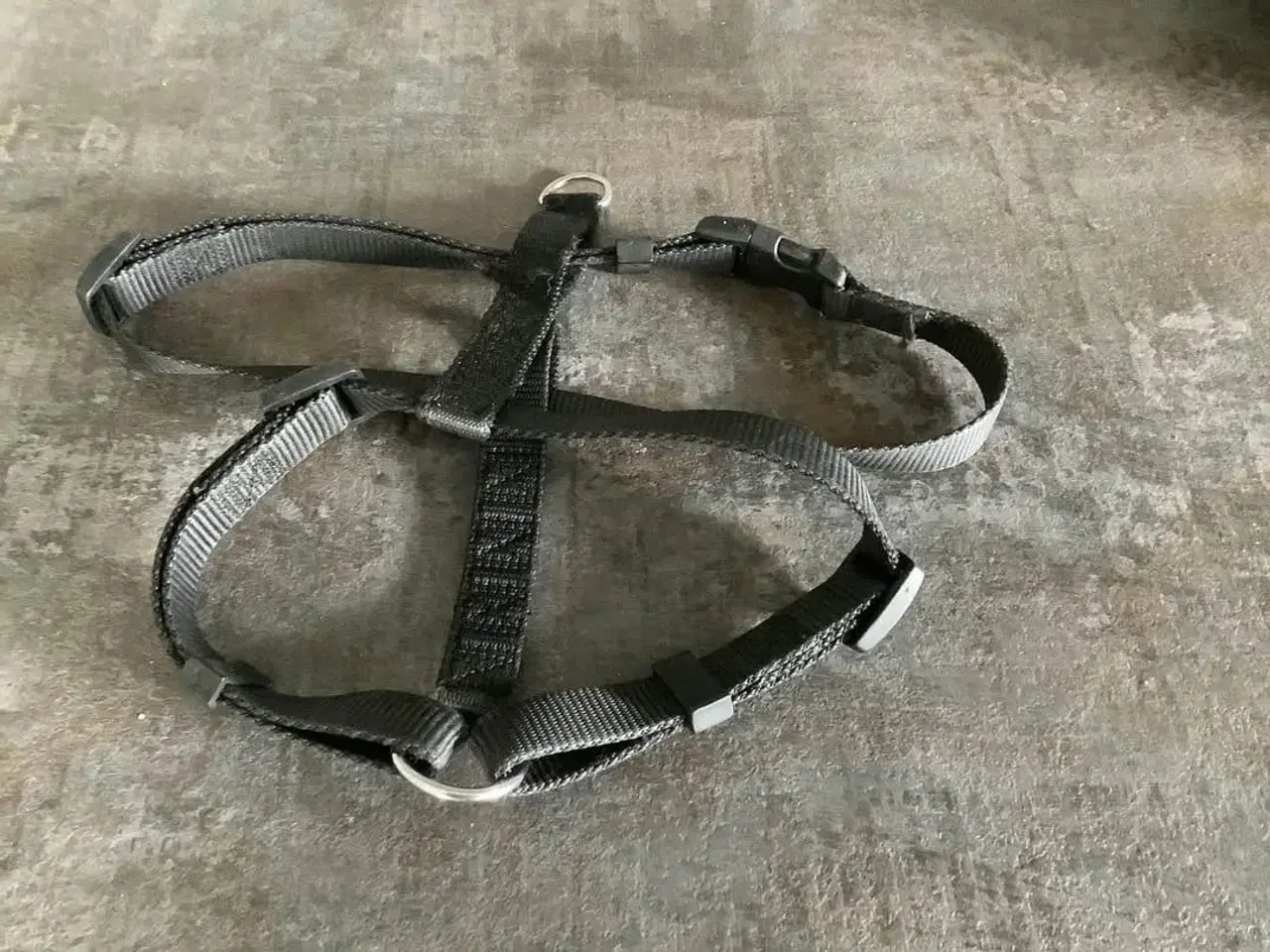 Billede 2 - Hunderem/sele, flere str. 