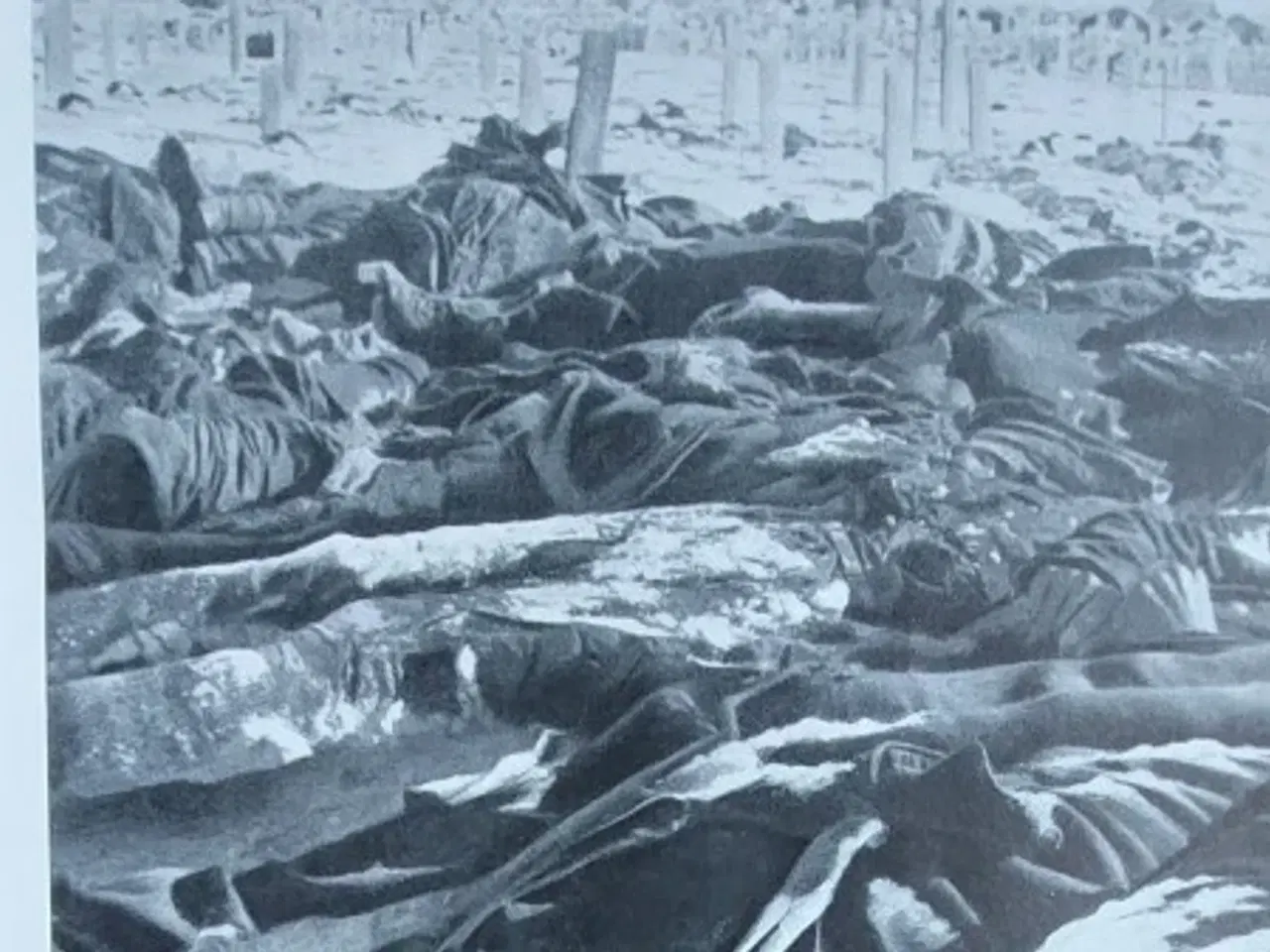 Billede 3 - Tysk bog " Stalingrad eine Chronik in Bildern"