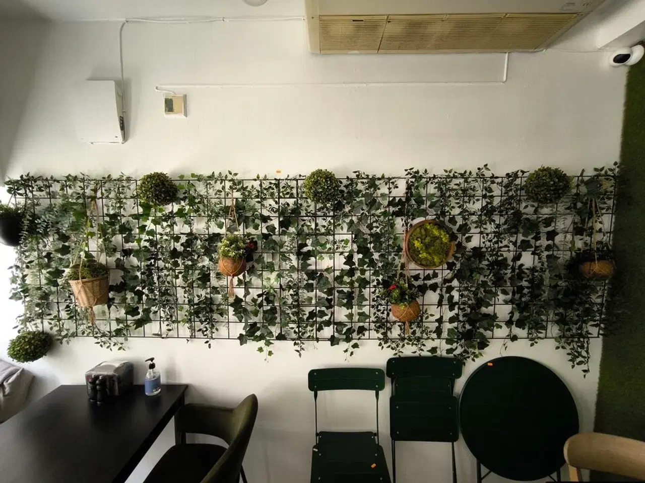Billede 1 - Væg med kunstige planter