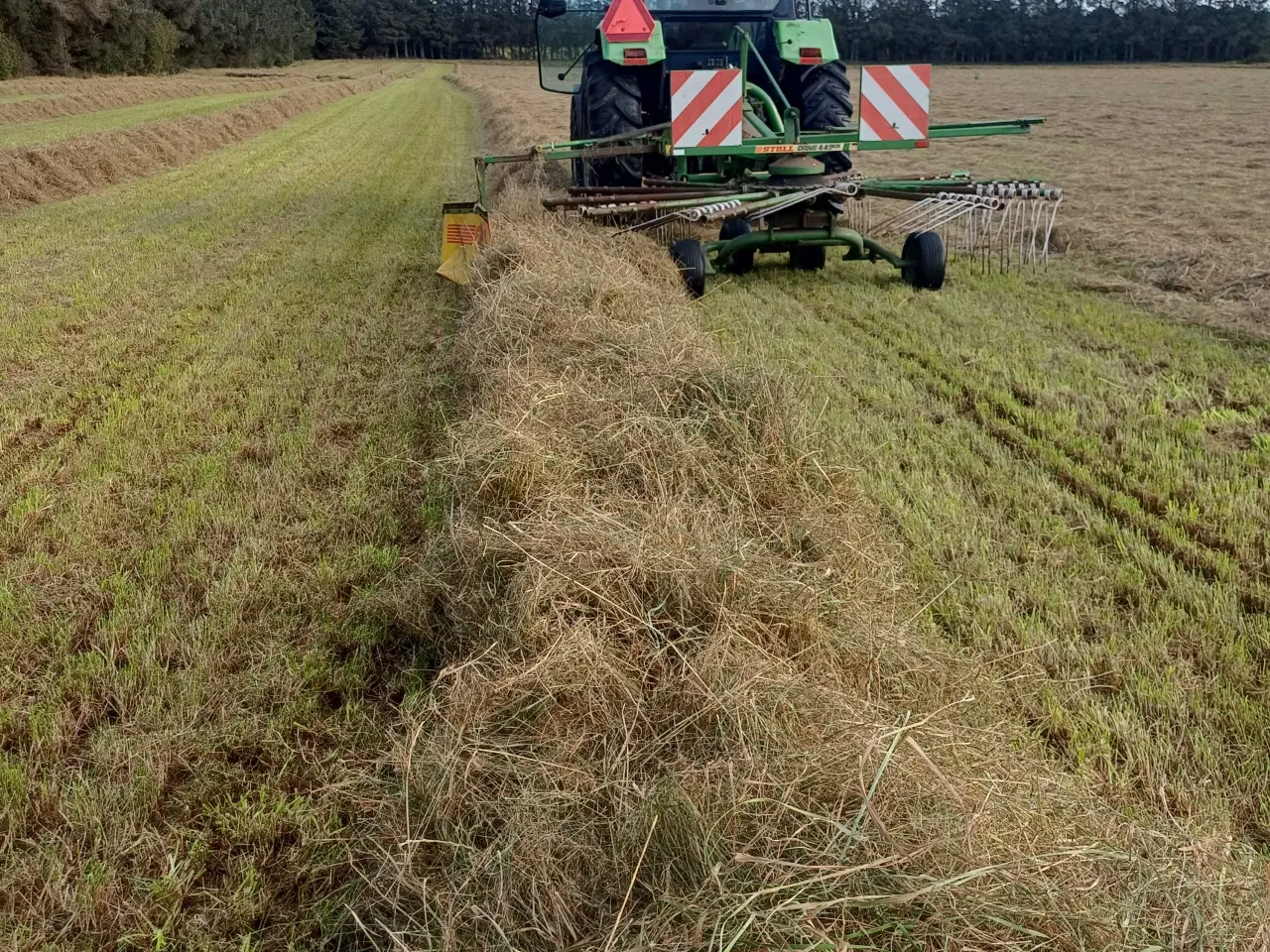 Billede 2 - Wrapballer minibig af hestegræsblanding