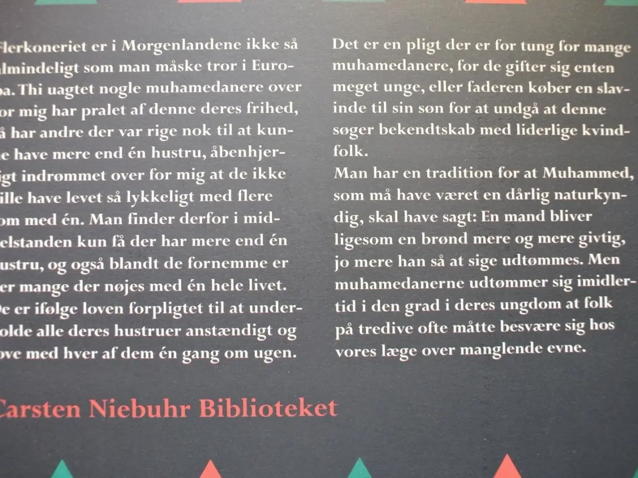 Billede 3 - beskrivelse af arabien ud fra egne iagttagelser og
