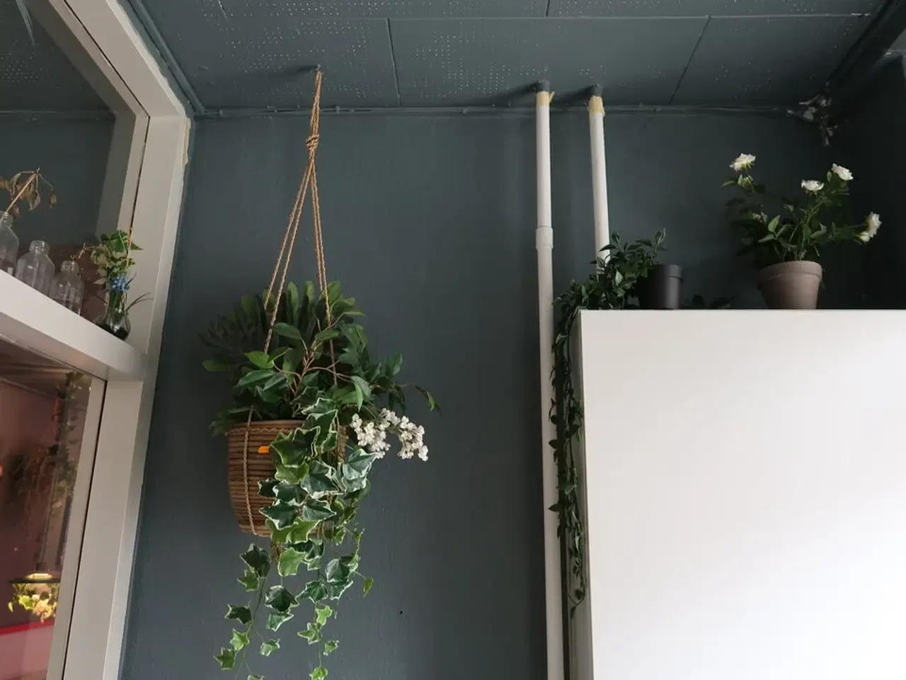 Billede 1 - Div. Planter og vaser