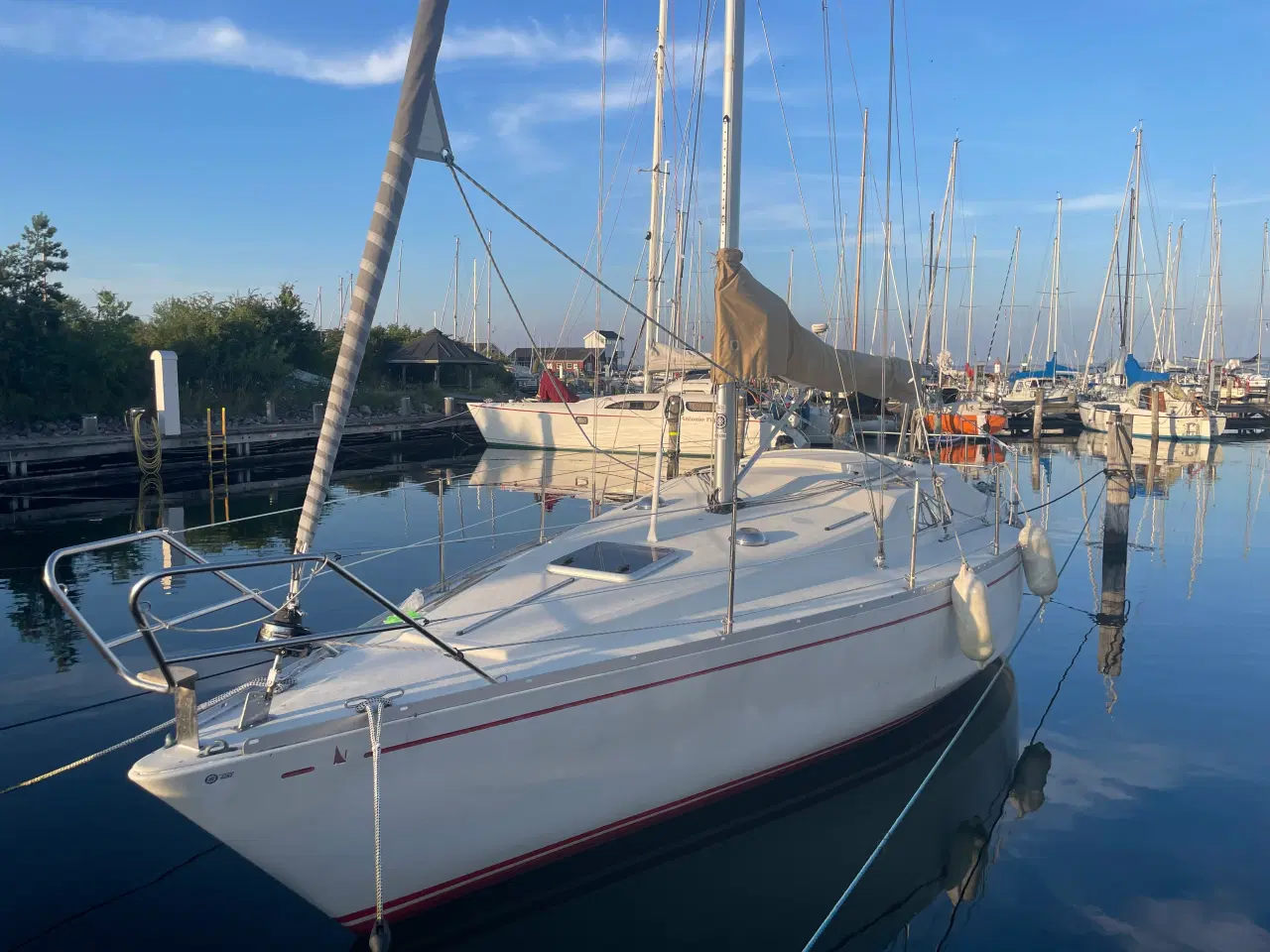 Billede 1 - Scampi 30 sejlbåd