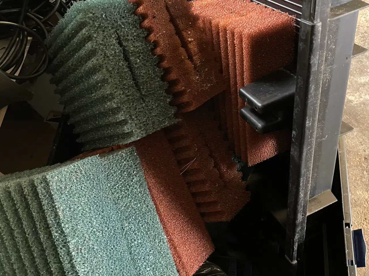 Billede 4 - Koi karper og guldfisk