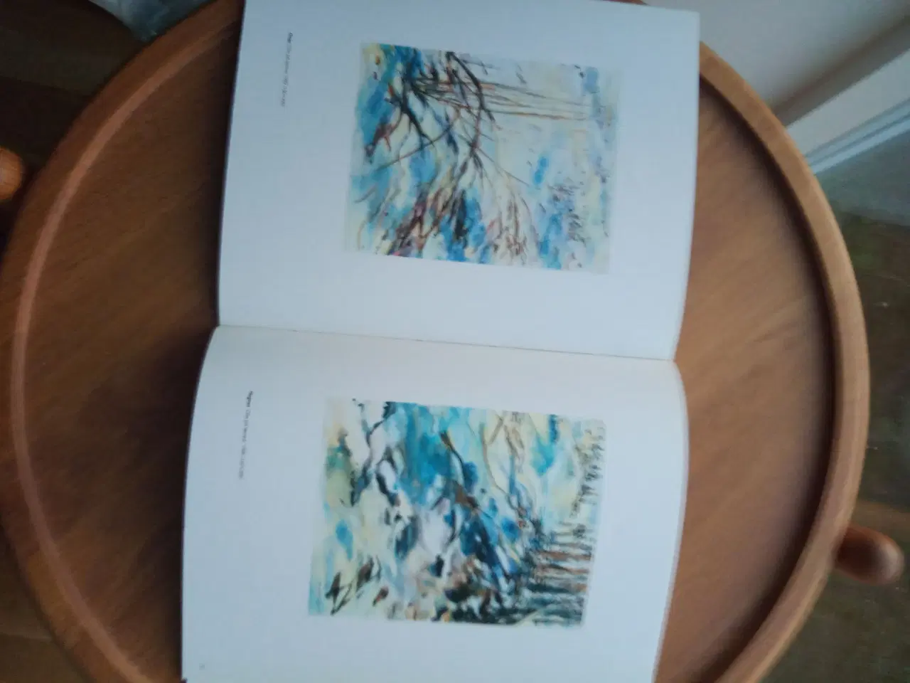 Billede 3 - Kunstbøger mv. om Anita Houvenaeghel