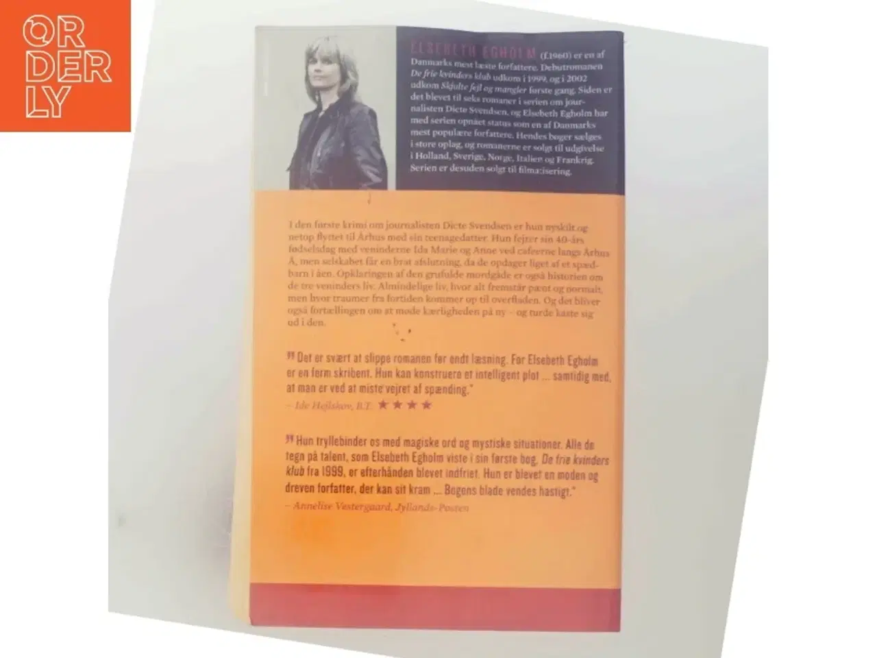 Billede 3 - Skjulte fejl og mangler af Elsebeth Egholm (Bog)