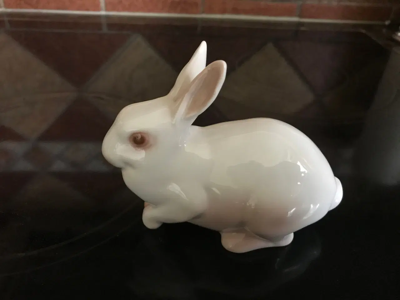 Billede 1 - B. G. Hvid kanin