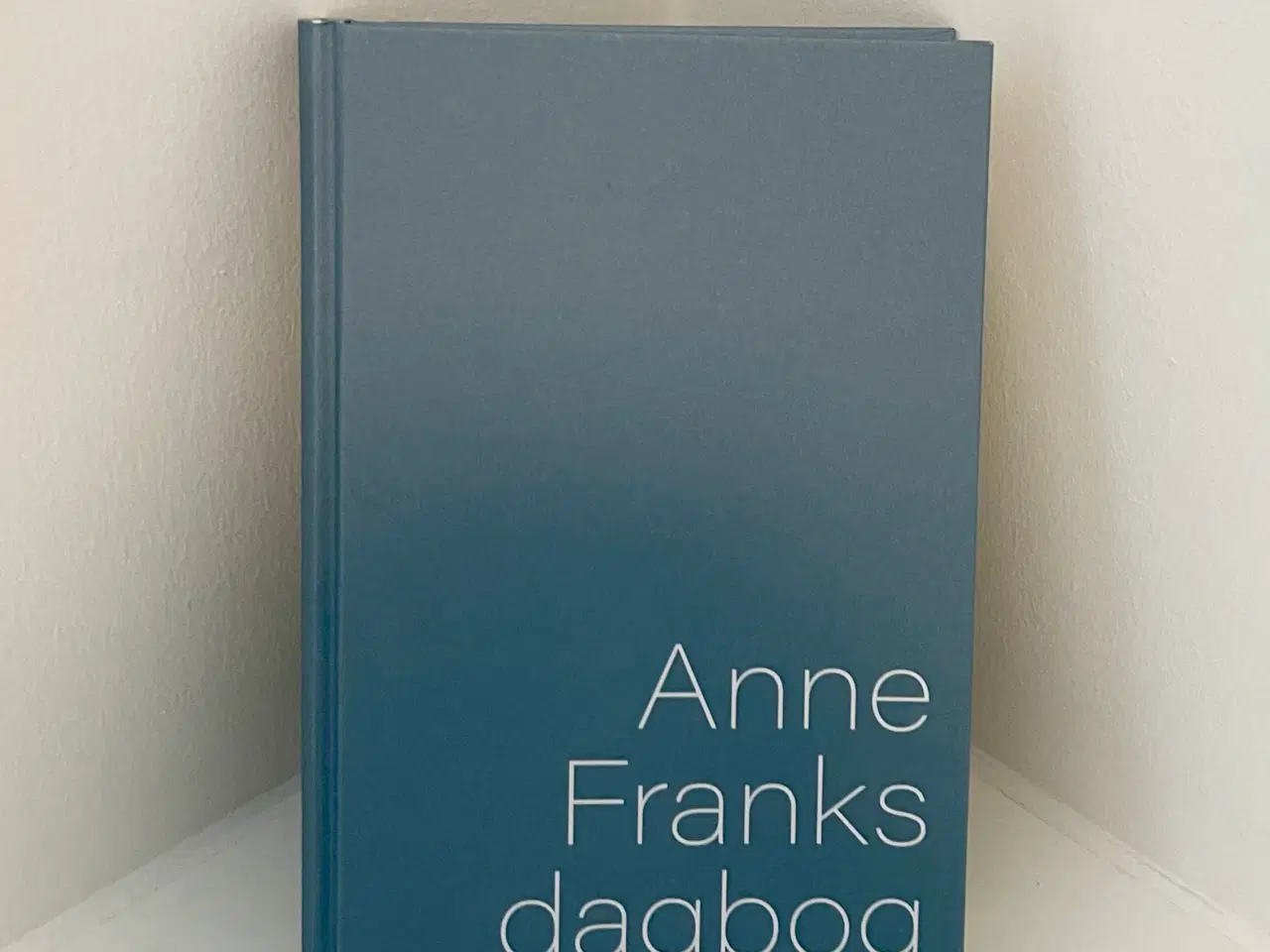 Billede 1 - Anne Franks dagbog