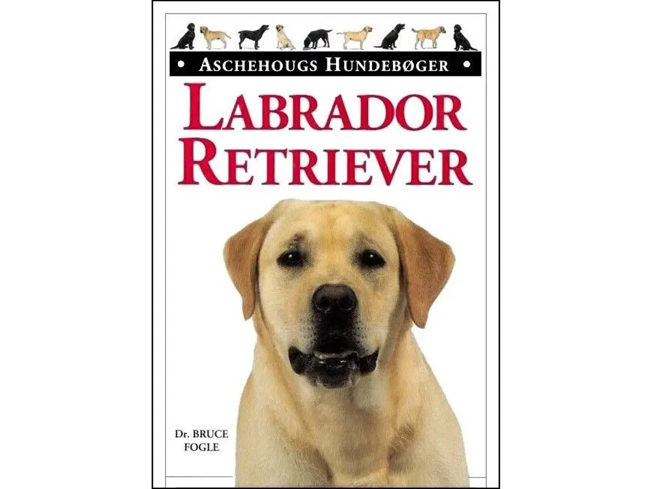 Billede 1 - Labrador Retriever
