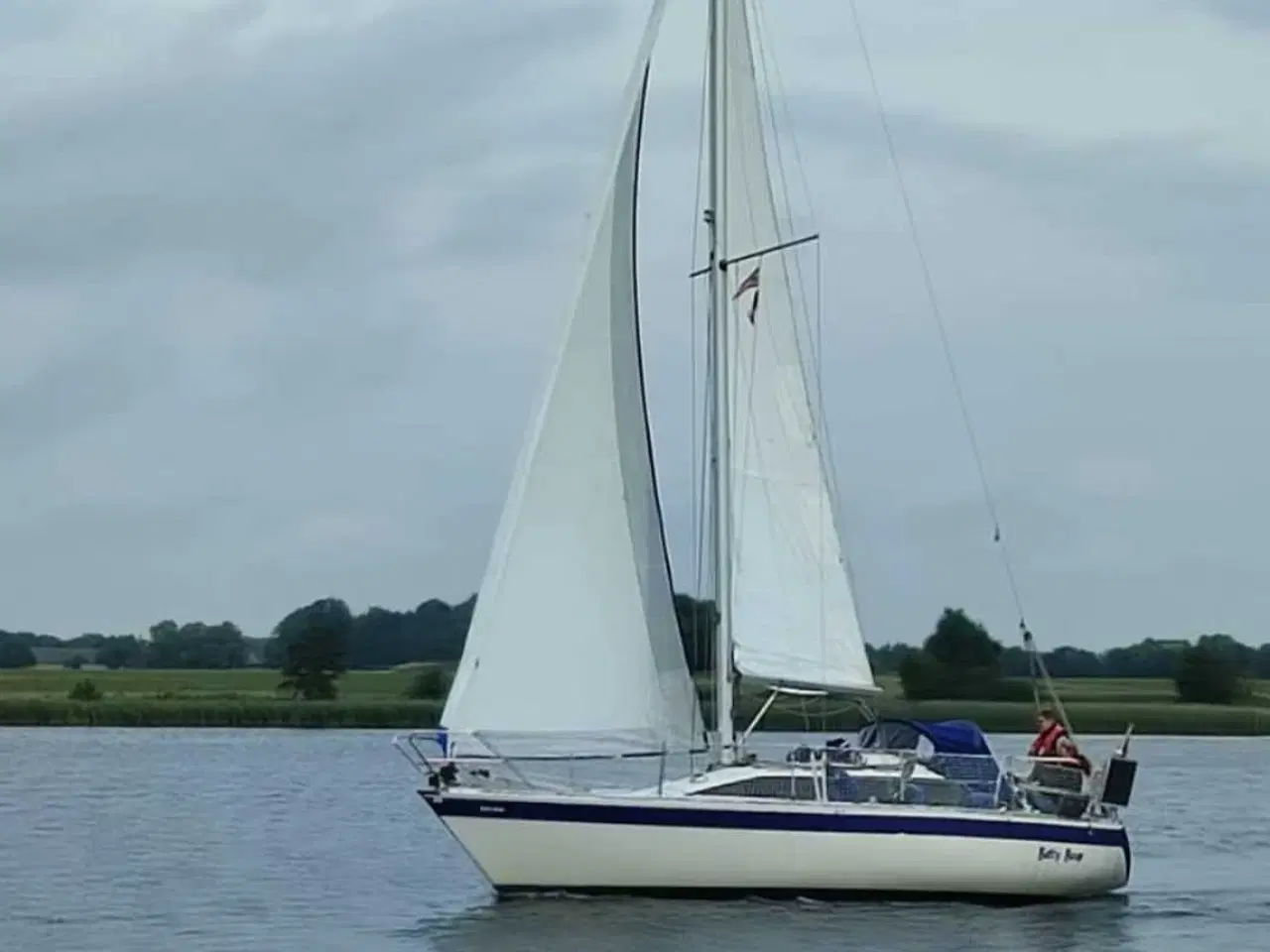 Billede 10 - Schamrock club raser 30