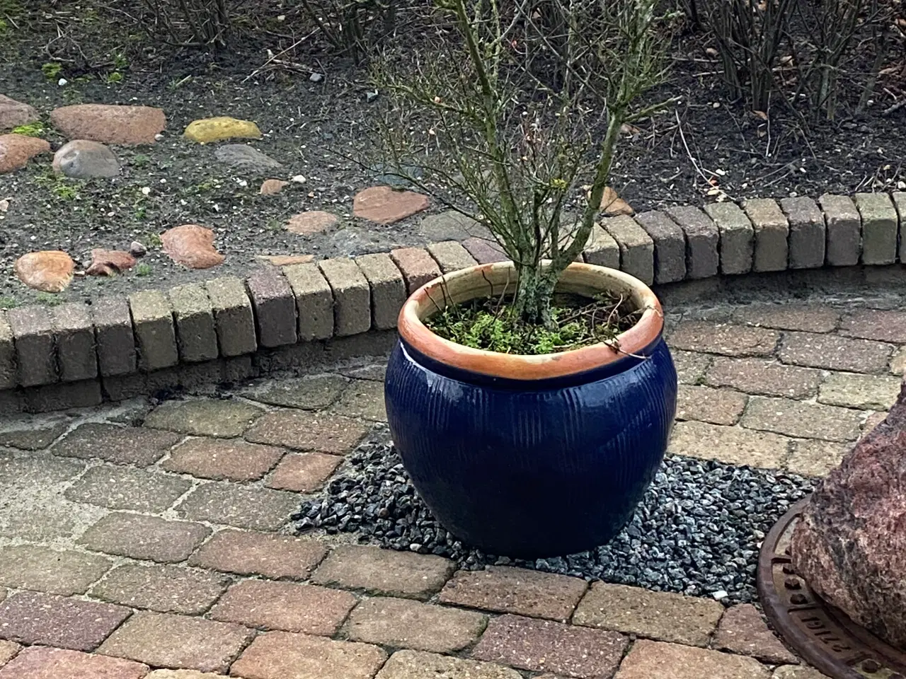 Billede 2 - GRATIS - krukker kan afhentes