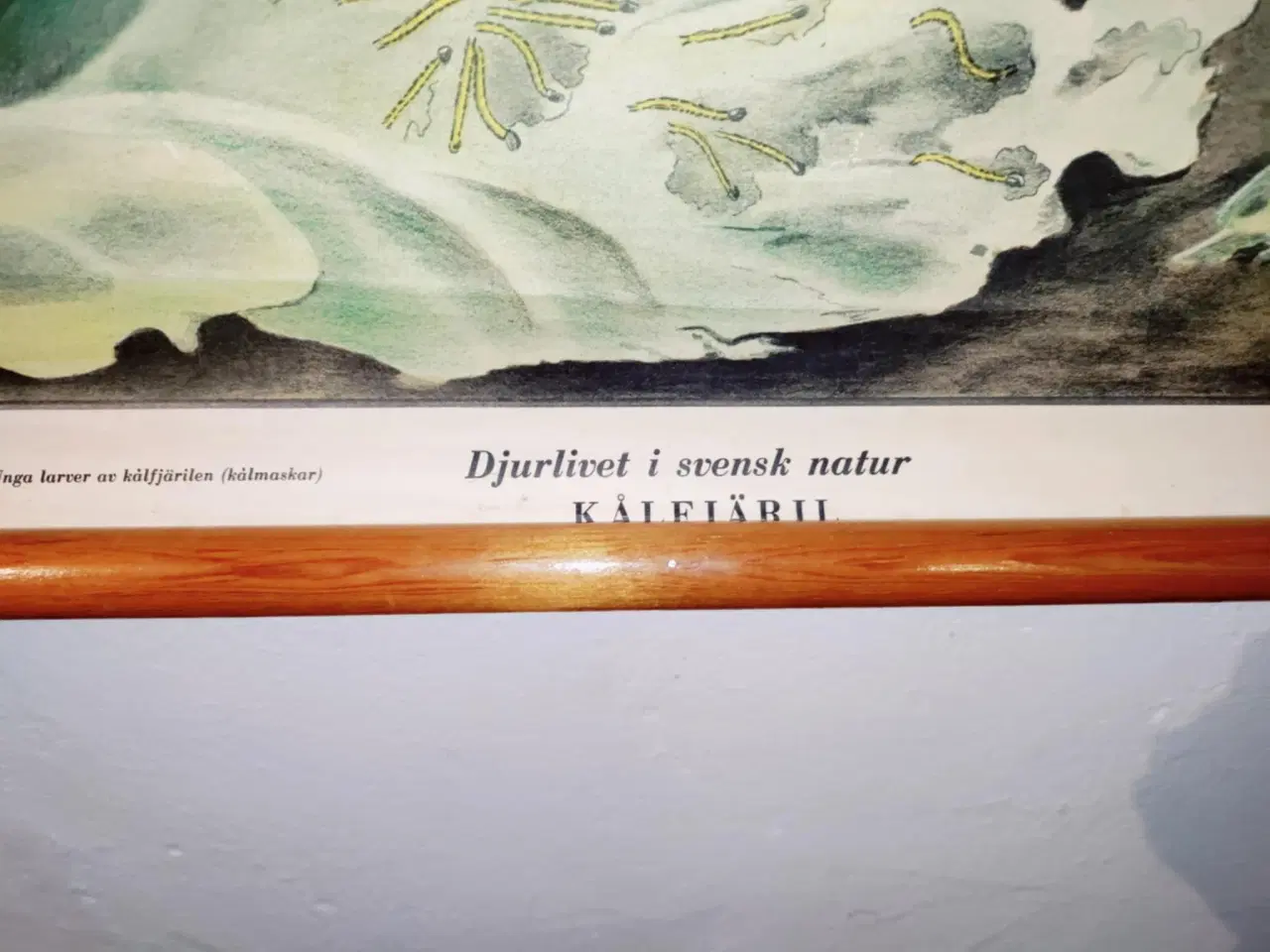 Billede 4 - fedt lille skolekort med sommerfugle