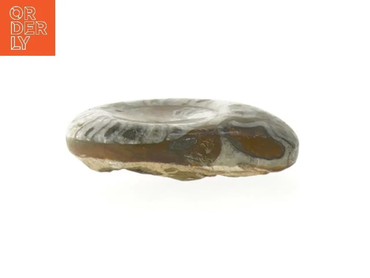 Billede 2 - Poleret ammonit fossil (str. 7,5 cm)