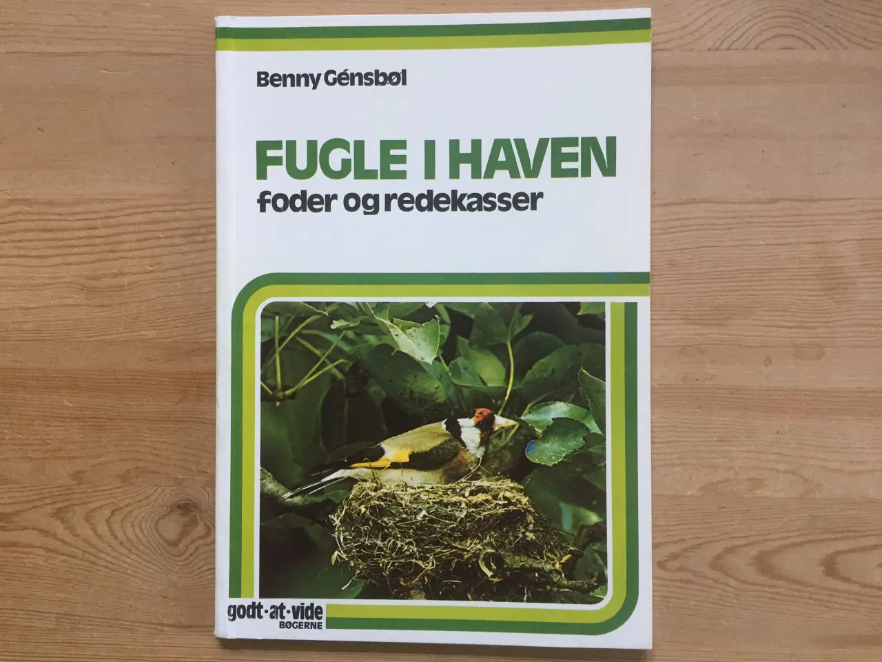 Billede 1 - Fugle i haven