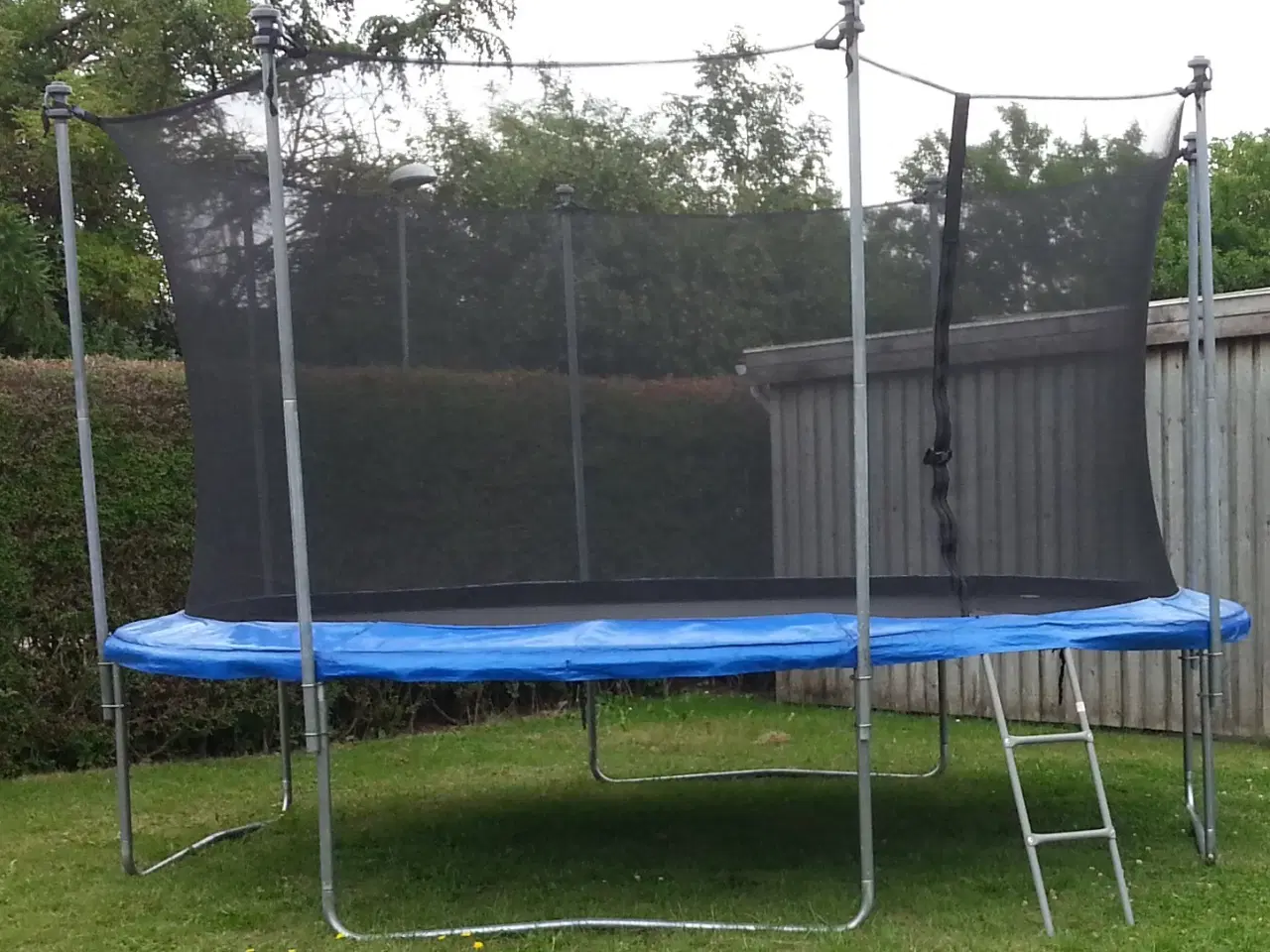 Billede 1 - Trampolin med trappestige Ø 426 cm