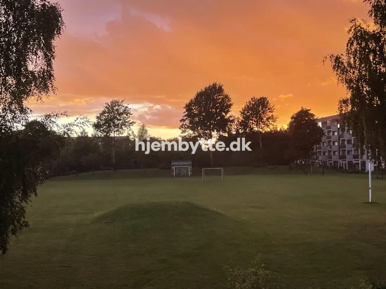 Billede 8 - Hjembytte - Malurthaven